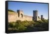 Sweden, Gotland Island, Visby, 12th century city wall, most complete medieval city wall in Europe-Walter Bibikow-Framed Stretched Canvas