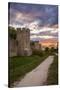 Sweden, Gotland Island, Visby, 12th century city wall, most complete medieval city wall-Walter Bibikow-Stretched Canvas