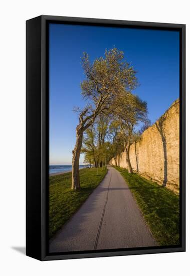 Sweden, Gotland Island, Visby, 12th century city wall, most complete medieval city wall-Walter Bibikow-Framed Stretched Canvas
