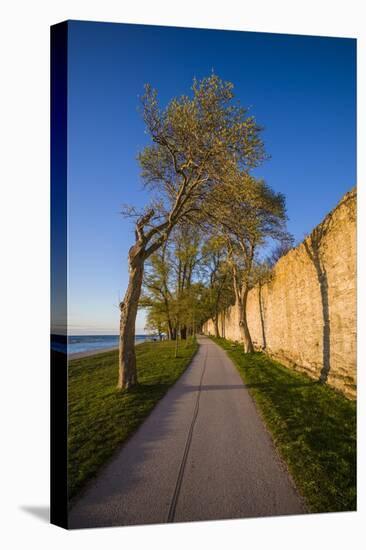 Sweden, Gotland Island, Visby, 12th century city wall, most complete medieval city wall-Walter Bibikow-Stretched Canvas