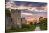 Sweden, Gotland Island, Visby, 12th century city wall, most complete medieval city wall-Walter Bibikow-Stretched Canvas