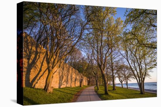 Sweden, Gotland Island, Visby, 12th century city wall, most complete medieval city wall-Walter Bibikow-Stretched Canvas