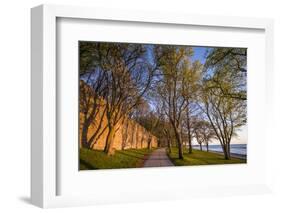 Sweden, Gotland Island, Visby, 12th century city wall, most complete medieval city wall-Walter Bibikow-Framed Photographic Print