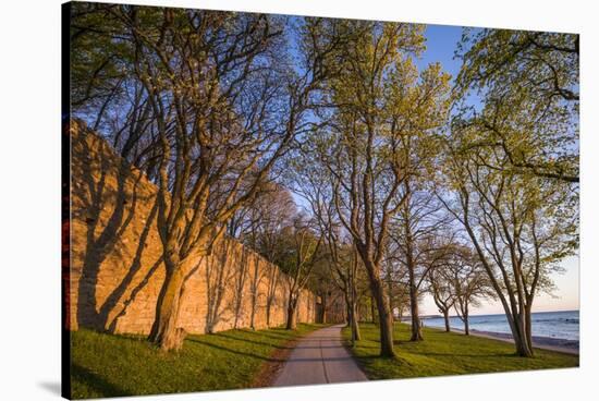 Sweden, Gotland Island, Visby, 12th century city wall, most complete medieval city wall-Walter Bibikow-Stretched Canvas