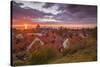 Sweden, Gotland Island, Visby, high angle city view, dusk-Walter Bibikow-Stretched Canvas