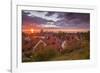 Sweden, Gotland Island, Visby, high angle city view, dusk-Walter Bibikow-Framed Photographic Print