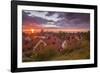 Sweden, Gotland Island, Visby, high angle city view, dusk-Walter Bibikow-Framed Photographic Print