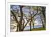 Sweden, Gotland Island, Visby, Strandpromenaden, coastal walkway, sunset-Walter Bibikow-Framed Photographic Print