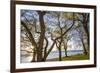 Sweden, Gotland Island, Visby, Strandpromenaden, coastal walkway, sunset-Walter Bibikow-Framed Photographic Print