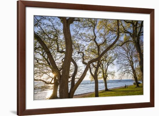 Sweden, Gotland Island, Visby, Strandpromenaden, coastal walkway, sunset-Walter Bibikow-Framed Photographic Print