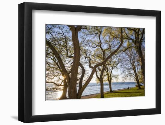 Sweden, Gotland Island, Visby, Strandpromenaden, coastal walkway, sunset-Walter Bibikow-Framed Photographic Print