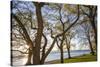 Sweden, Gotland Island, Visby, Strandpromenaden, coastal walkway, sunset-Walter Bibikow-Stretched Canvas