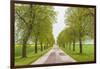 Sweden, Lake Vattern Area, country road, springtime-Walter Bibikow-Framed Photographic Print