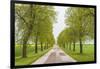 Sweden, Lake Vattern Area, country road, springtime-Walter Bibikow-Framed Photographic Print