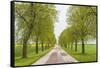 Sweden, Lake Vattern Area, country road, springtime-Walter Bibikow-Framed Stretched Canvas