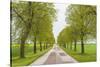 Sweden, Lake Vattern Area, country road, springtime-Walter Bibikow-Stretched Canvas