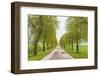 Sweden, Lake Vattern Area, country road, springtime-Walter Bibikow-Framed Photographic Print