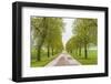 Sweden, Lake Vattern Area, country road, springtime-Walter Bibikow-Framed Photographic Print