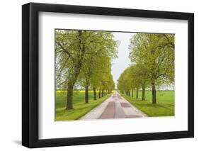 Sweden, Lake Vattern Area, country road, springtime-Walter Bibikow-Framed Photographic Print