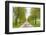 Sweden, Lake Vattern Area, country road, springtime-Walter Bibikow-Framed Photographic Print