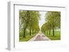 Sweden, Lake Vattern Area, country road, springtime-Walter Bibikow-Framed Photographic Print