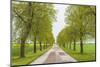 Sweden, Lake Vattern Area, country road, springtime-Walter Bibikow-Mounted Photographic Print