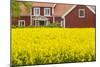 Sweden, Lake Vattern Area, Renstad, farm, springtime-Walter Bibikow-Mounted Photographic Print