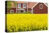 Sweden, Lake Vattern Area, Renstad, farm, springtime-Walter Bibikow-Stretched Canvas