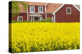 Sweden, Lake Vattern Area, Renstad, farm, springtime-Walter Bibikow-Stretched Canvas