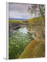 Sweden, Lapland, Abisko National Park, Gorge-Rainer Mirau-Framed Photographic Print