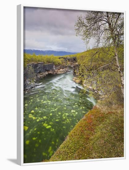 Sweden, Lapland, Abisko National Park, Gorge-Rainer Mirau-Framed Photographic Print