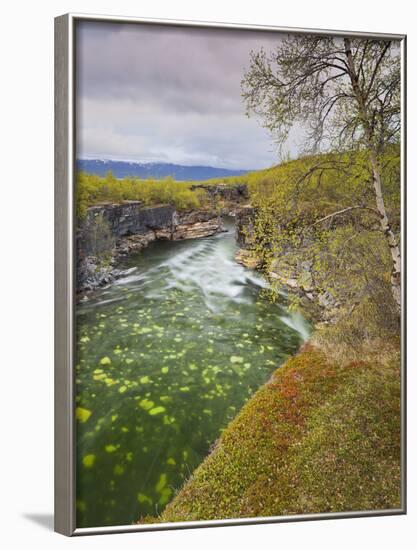 Sweden, Lapland, Abisko National Park, Gorge-Rainer Mirau-Framed Photographic Print
