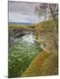 Sweden, Lapland, Abisko National Park, Gorge-Rainer Mirau-Mounted Photographic Print