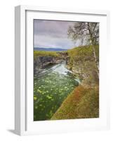 Sweden, Lapland, Abisko National Park, Gorge-Rainer Mirau-Framed Photographic Print