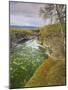 Sweden, Lapland, Abisko National Park, Gorge-Rainer Mirau-Mounted Photographic Print