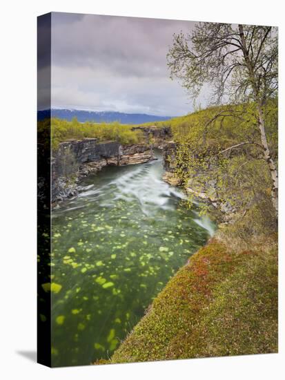 Sweden, Lapland, Abisko National Park, Gorge-Rainer Mirau-Stretched Canvas