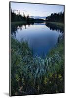Sweden, Lapland, Lake, Shore, Landscape, Evening-Mood-Rainer Mirau-Mounted Photographic Print