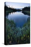 Sweden, Lapland, Lake, Shore, Landscape, Evening-Mood-Rainer Mirau-Stretched Canvas