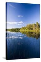 Sweden, Lapland, Lake, Shore, Landscape-Rainer Mirau-Stretched Canvas