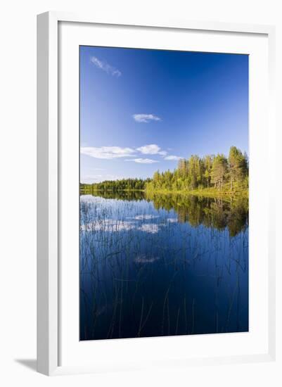 Sweden, Lapland, Lake, Shore, Landscape-Rainer Mirau-Framed Photographic Print