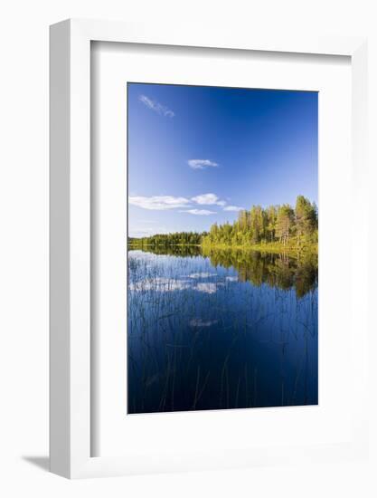 Sweden, Lapland, Lake, Shore, Landscape-Rainer Mirau-Framed Photographic Print