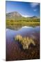 Sweden, Lapland, Lake, Shore, Mountain Scenery-Rainer Mirau-Mounted Photographic Print