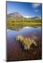 Sweden, Lapland, Lake, Shore, Mountain Scenery-Rainer Mirau-Mounted Photographic Print