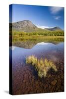 Sweden, Lapland, Lake, Shore, Mountain Scenery-Rainer Mirau-Stretched Canvas