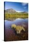 Sweden, Lapland, Lake, Shore, Mountain Scenery-Rainer Mirau-Stretched Canvas