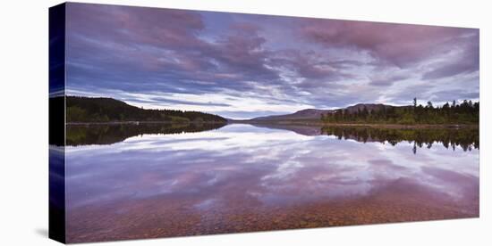 Sweden, Lapland, Stora Sjšfallet National Park, Net Curtain Lulevatten-Rainer Mirau-Stretched Canvas