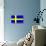 Sweden National Flag Poster Print-null-Poster displayed on a wall