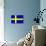 Sweden National Flag Poster Print-null-Mounted Poster displayed on a wall