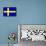 Sweden National Flag Poster Print-null-Framed Poster displayed on a wall