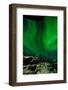 Sweden, Norrbotten, Abisko. Aurora Borealis (Northern Lights) above Abisko canyon.-Fredrik Norrsell-Framed Photographic Print